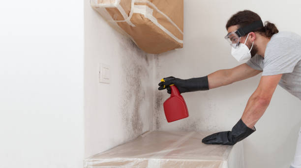 Professional Attic Mold Remediation technician working in Nicktown, PA