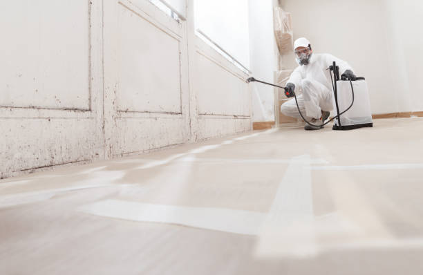 24/7 Emergency Attic Mold Remediation experts in Nicktown, PA