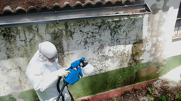 Top rated local Attic Mold Remediation specialists in Nicktown, PA